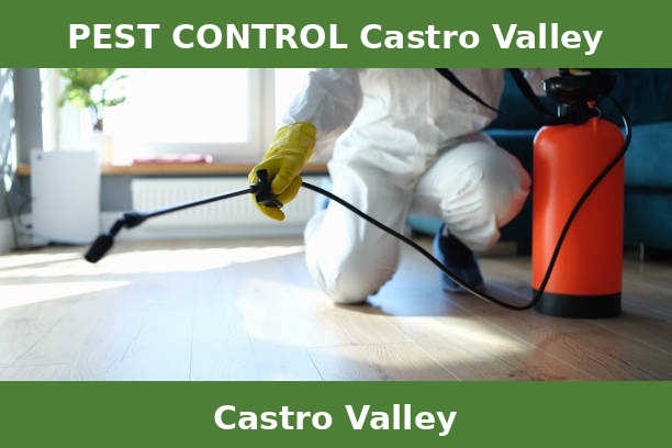 PEST CONTROL Castro Valley